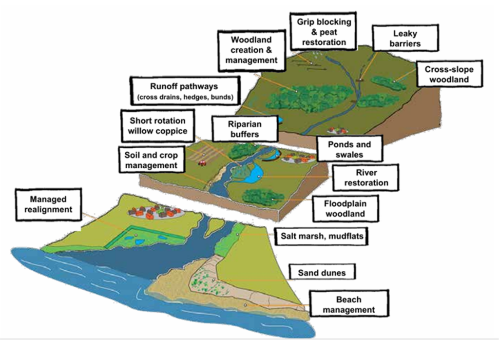 catchment model